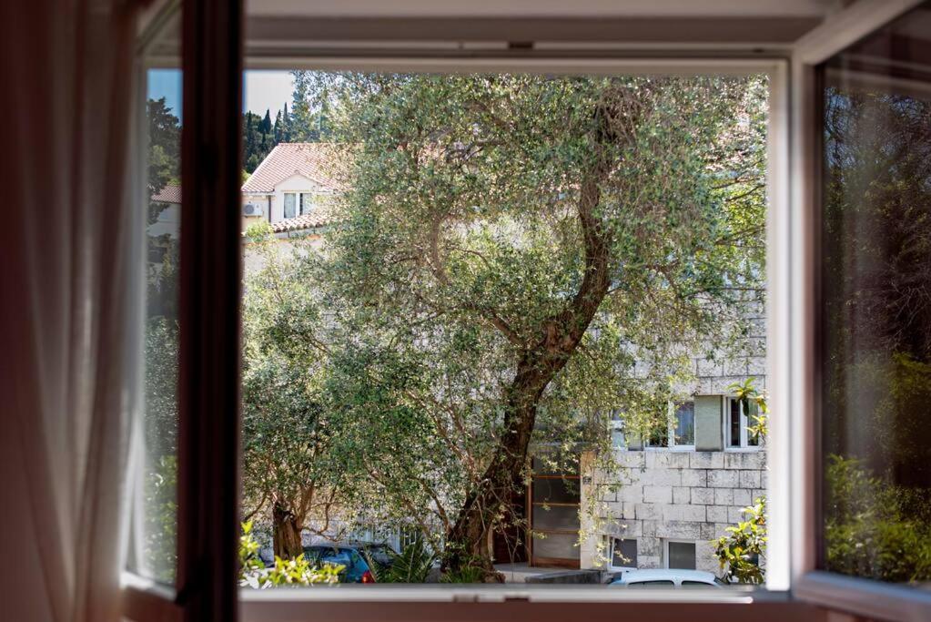 Lapad Cove Apartment Dubrovnik Exterior foto